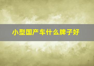 小型国产车什么牌子好