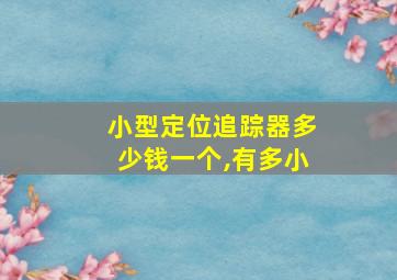 小型定位追踪器多少钱一个,有多小