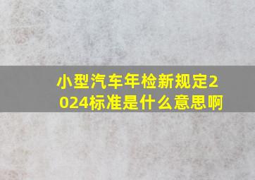 小型汽车年检新规定2024标准是什么意思啊