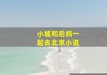 小城和后妈一起去北京小说