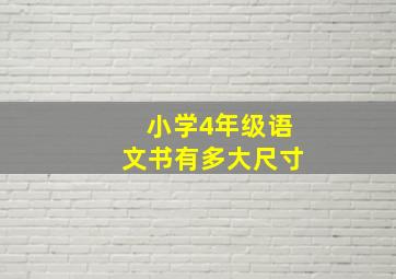 小学4年级语文书有多大尺寸