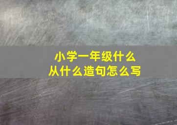 小学一年级什么从什么造句怎么写