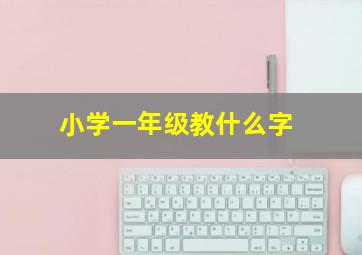 小学一年级教什么字