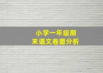 小学一年级期末语文卷面分析