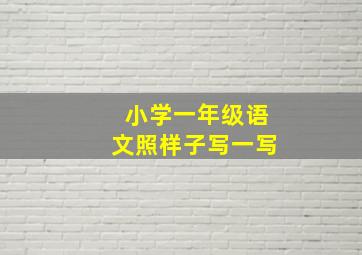 小学一年级语文照样子写一写