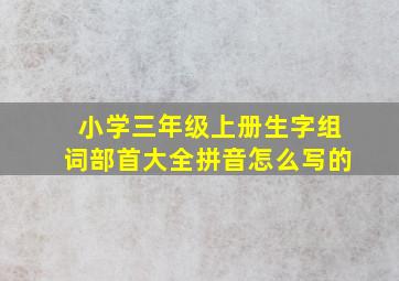 小学三年级上册生字组词部首大全拼音怎么写的