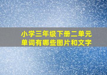 小学三年级下册二单元单词有哪些图片和文字