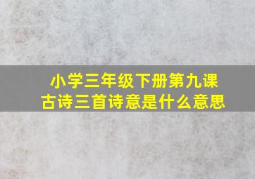 小学三年级下册第九课古诗三首诗意是什么意思