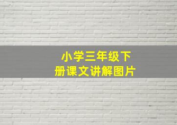 小学三年级下册课文讲解图片