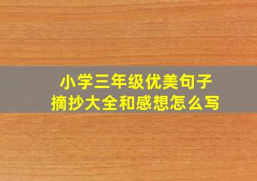 小学三年级优美句子摘抄大全和感想怎么写