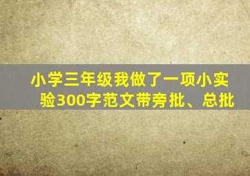 小学三年级我做了一项小实验300字范文带旁批、总批