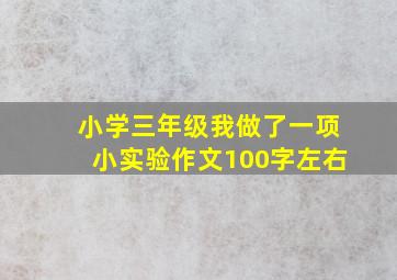 小学三年级我做了一项小实验作文100字左右