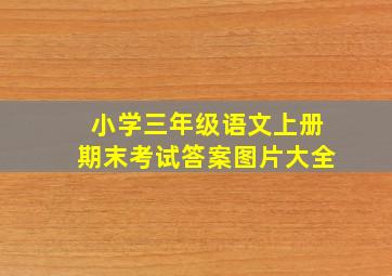 小学三年级语文上册期末考试答案图片大全