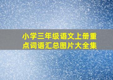 小学三年级语文上册重点词语汇总图片大全集