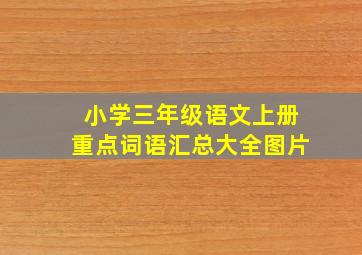 小学三年级语文上册重点词语汇总大全图片