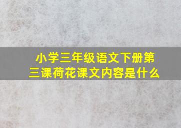 小学三年级语文下册第三课荷花课文内容是什么