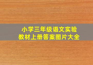 小学三年级语文实验教材上册答案图片大全