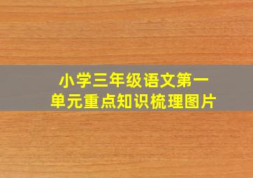 小学三年级语文第一单元重点知识梳理图片