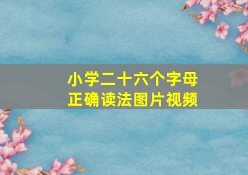 小学二十六个字母正确读法图片视频