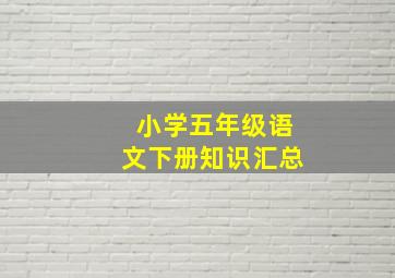 小学五年级语文下册知识汇总