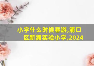 小学什么时候春游,浦口区新浦实验小学,2024