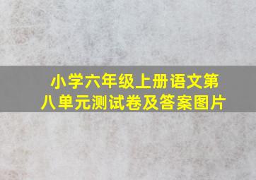 小学六年级上册语文第八单元测试卷及答案图片