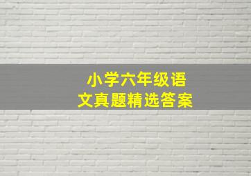 小学六年级语文真题精选答案