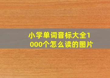 小学单词音标大全1000个怎么读的图片