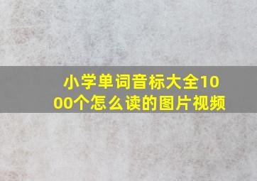 小学单词音标大全1000个怎么读的图片视频