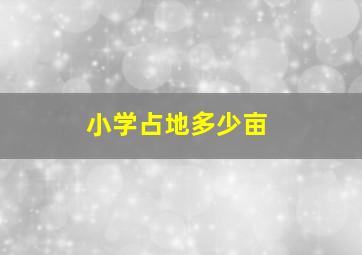 小学占地多少亩