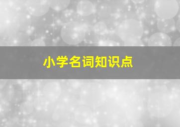 小学名词知识点