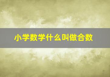 小学数学什么叫做合数