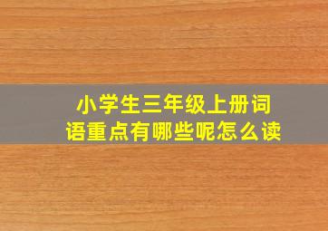 小学生三年级上册词语重点有哪些呢怎么读