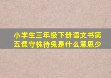 小学生三年级下册语文书第五课守株待兔是什么意思少