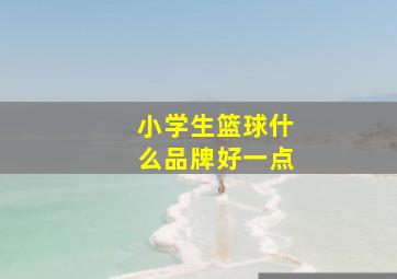 小学生篮球什么品牌好一点