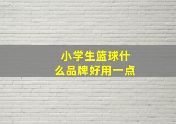 小学生篮球什么品牌好用一点