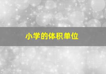 小学的体积单位