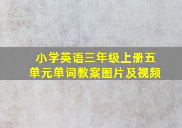 小学英语三年级上册五单元单词教案图片及视频