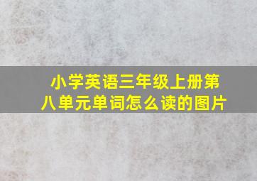 小学英语三年级上册第八单元单词怎么读的图片