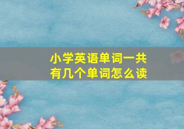 小学英语单词一共有几个单词怎么读