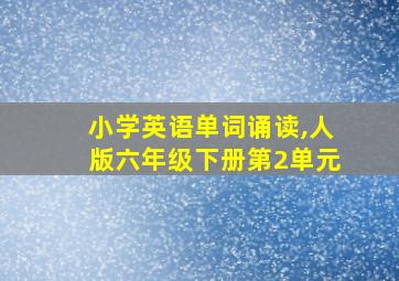 小学英语单词诵读,人版六年级下册第2单元