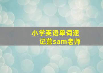 小学英语单词速记营sam老师