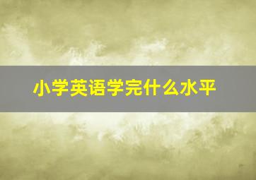 小学英语学完什么水平