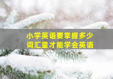 小学英语要掌握多少词汇量才能学会英语