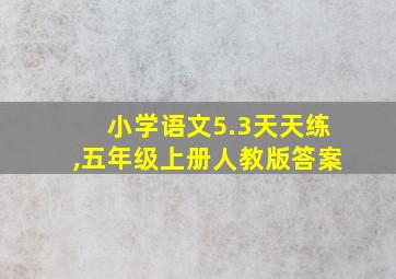 小学语文5.3天天练,五年级上册人教版答案