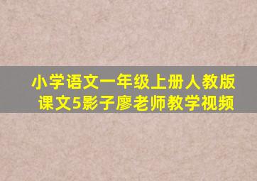 小学语文一年级上册人教版课文5影子廖老师教学视频