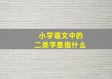 小学语文中的二类字是指什么