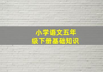 小学语文五年级下册基础知识