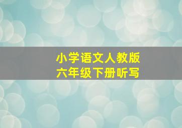 小学语文人教版六年级下册听写