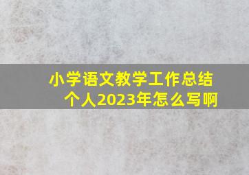 小学语文教学工作总结个人2023年怎么写啊